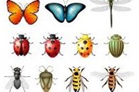10 câu hỏi trắc nghiệm với tranh dành cho cả gia đình bằng tiếng Anh  Phần 21 - Chủ đề "Các loài côn trùng"